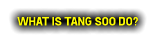 What is Tang Soo do?