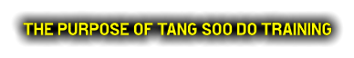 The Purpose of Tang Soo do Training