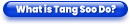 What is Tang Soo Do?