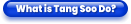 What is Tang Soo Do?
