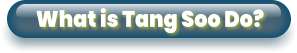 What is Tang Soo Do?