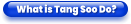 What is Tang Soo Do?