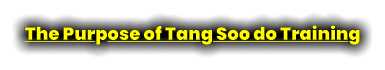 The Purpose of Tang Soo do Training