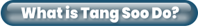 What is Tang Soo Do?