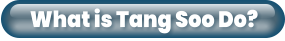 What is Tang Soo Do?