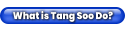 What is Tang Soo Do?