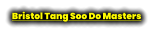 Bristol Tang Soo Do Masters