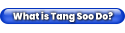 What is Tang Soo Do?