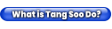 What is Tang Soo Do?