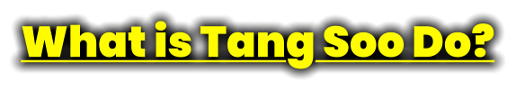 What is Tang Soo Do?
