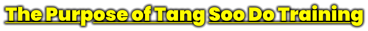 The Purpose of Tang Soo Do Training