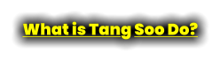 What is Tang Soo Do?