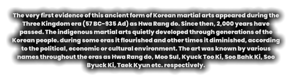 The very first evidence of this ancient form of Korean martial arts appeared during the Three Kingdom era (57 BC-935 Ad) as Hwa Rang do. Since then, 2,000 years have passed. The indigenous martial arts quietly developed through generations of the Korean people. during some eras it flourished and other times it diminished, according to the political, economic or cultural environment. The art was known by various names throughout the eras as Hwa Rang do, Moo Sul, Kyuck Too Ki, Soo Bahk Ki, Soo Byuck Ki, Taek Kyun etc. respectively.