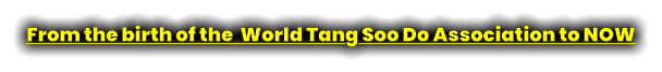 From the birth of the  World Tang Soo Do Association to NOW